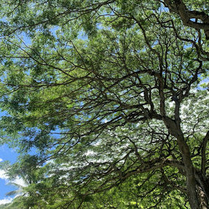 Meet your Posher, Becca